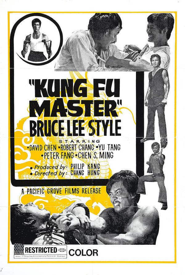 Kung Fu Master Bruce Lee Style